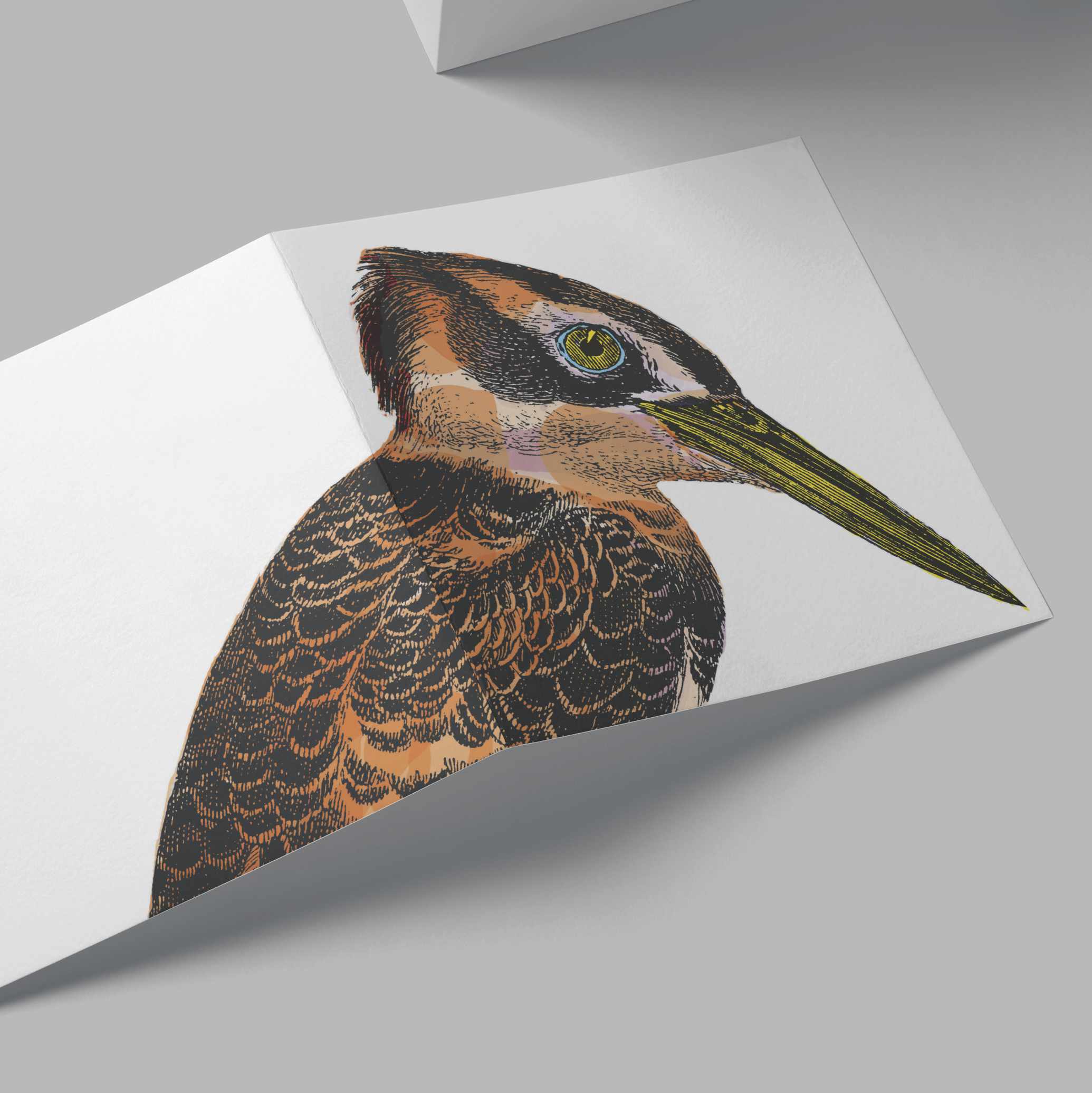 Kingfisher Card